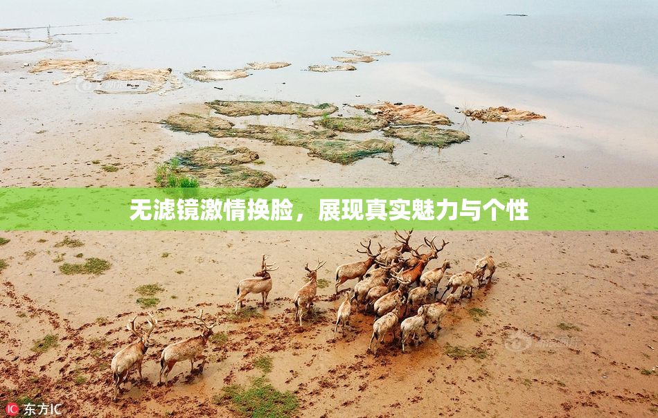 无滤镜激情换脸，展现真实魅力与个性