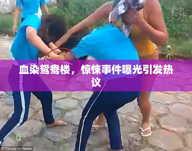 血染鸳鸯楼，惊悚事件曝光引发热议