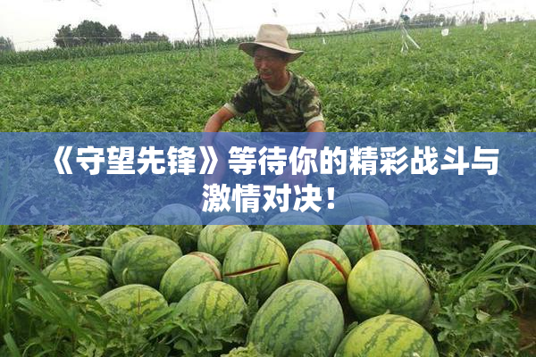 《守望先锋》等待你的精彩战斗与激情对决！
