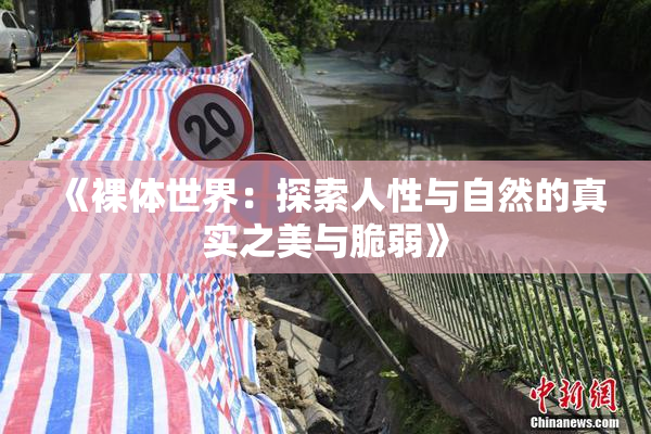 《裸体世界：探索人性与自然的真实之美与脆弱》