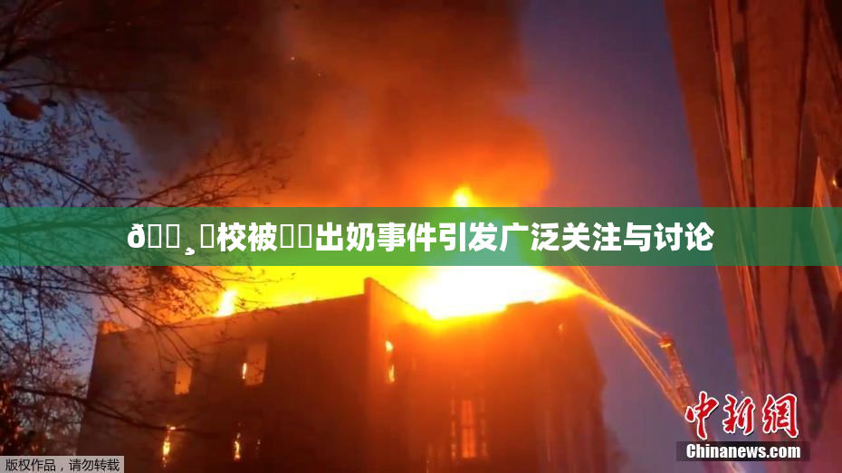 🌸‌校被❌‌出奶事件引发广泛关注与讨论