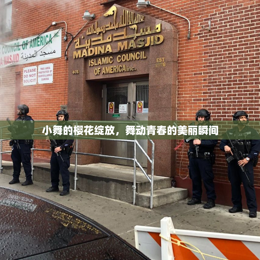 小舞的樱花绽放，舞动青春的美丽瞬间