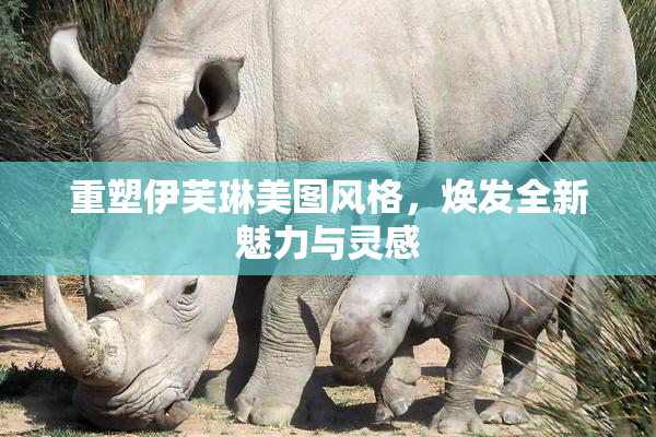 重塑伊芙琳美图风格，焕发全新魅力与灵感