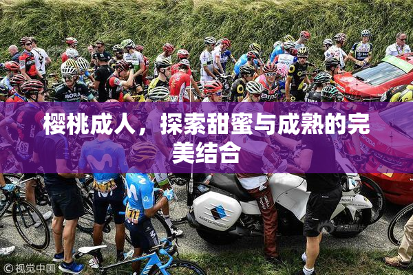 樱桃成人，探索甜蜜与成熟的完美结合
