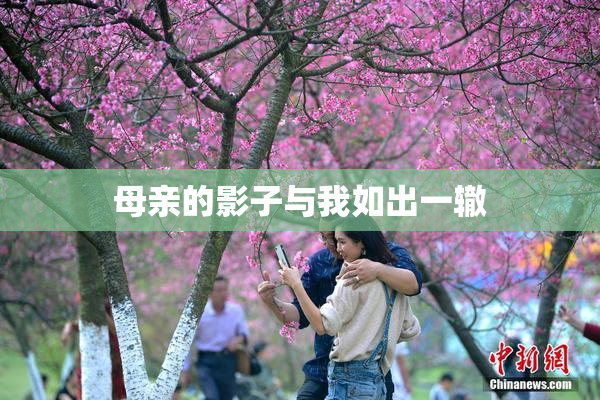母亲的影子与我如出一辙