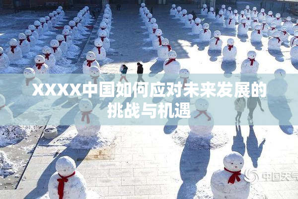 XXXX中国如何应对未来发展的挑战与机遇