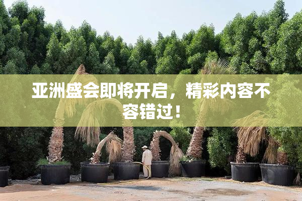 亚洲盛会即将开启，精彩内容不容错过！