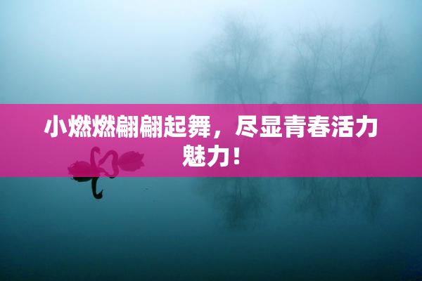 小燃燃翩翩起舞，尽显青春活力魅力！