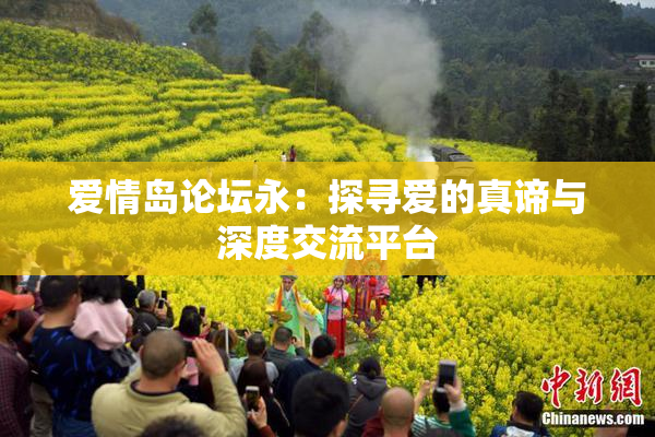 爱情岛论坛永：探寻爱的真谛与深度交流平台
