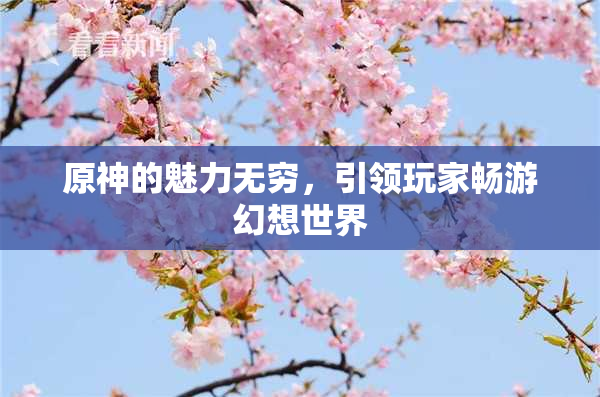 原神的魅力无穷，引领玩家畅游幻想世界