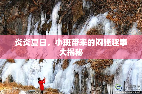 炎炎夏日，小斑带来的闷骚趣事大揭秘