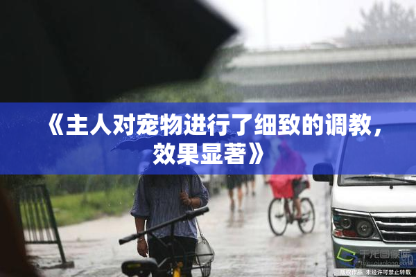 《主人对宠物进行了细致的调教，效果显著》