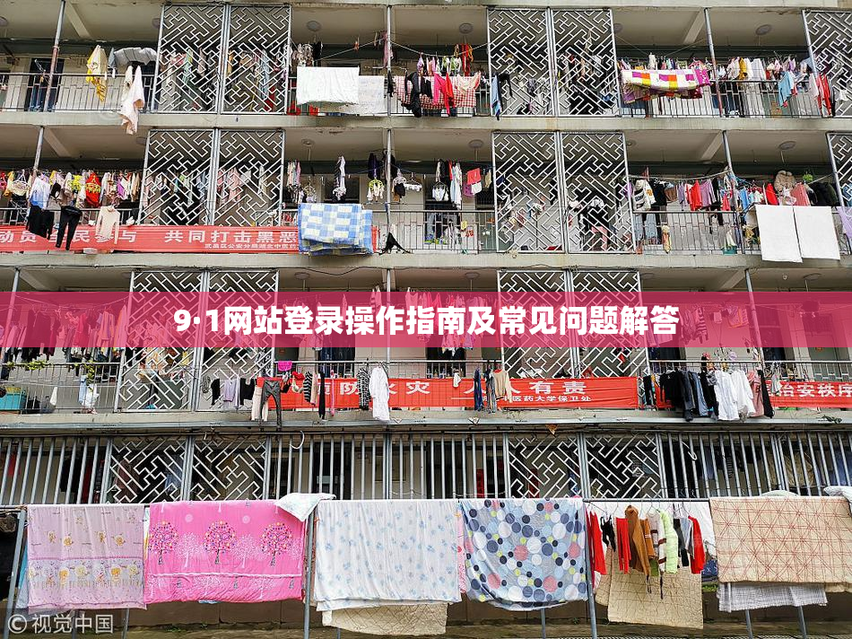 9·1网站登录操作指南及常见问题解答