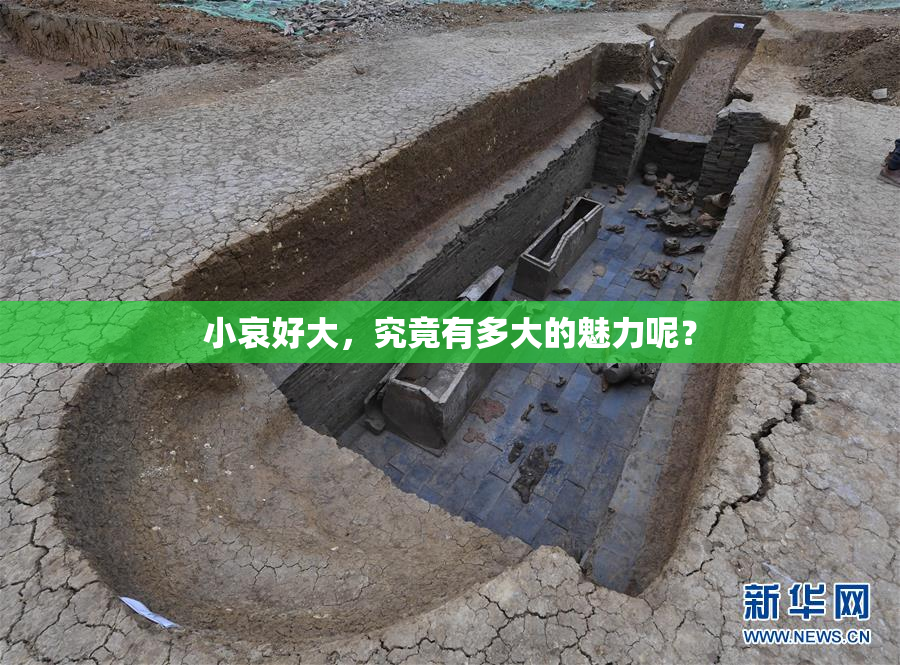 小哀好大，究竟有多大的魅力呢？