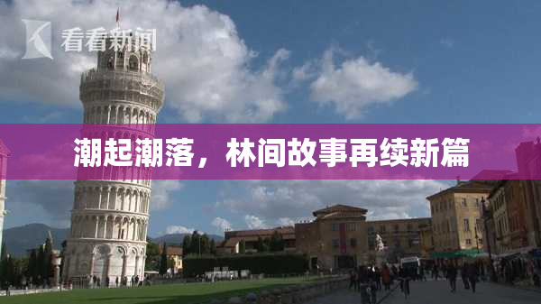 潮起潮落，林间故事再续新篇