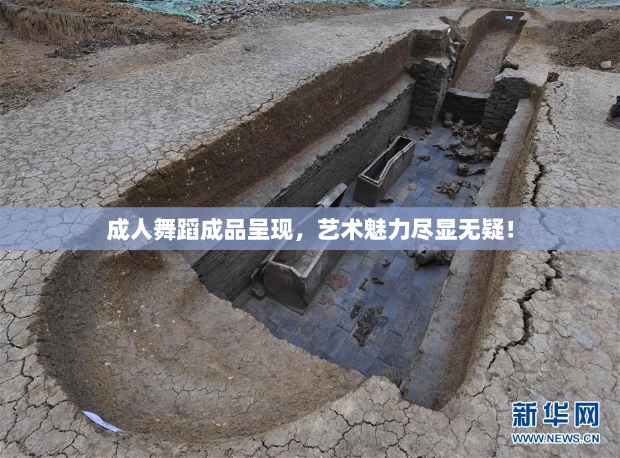 成人舞蹈成品呈现，艺术魅力尽显无疑！
