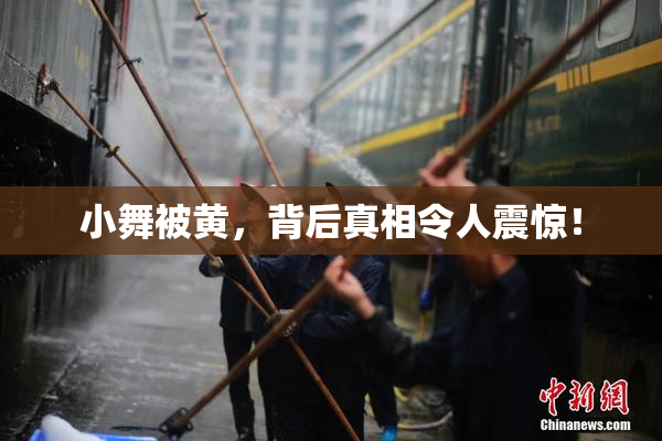 小舞被黄，背后真相令人震惊！