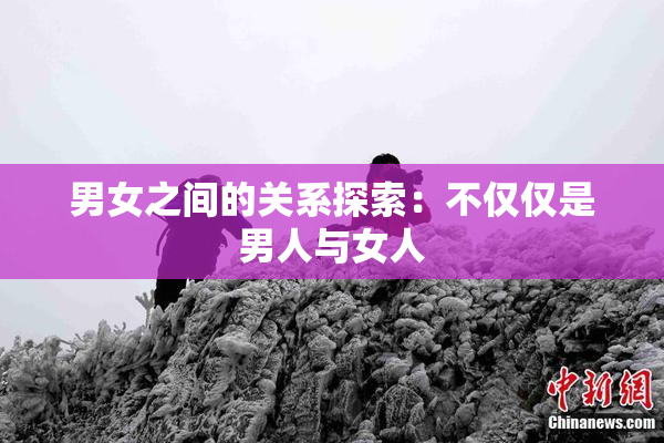 男女之间的关系探索：不仅仅是男人与女人