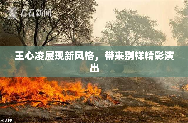 王心凌展现新风格，带来别样精彩演出