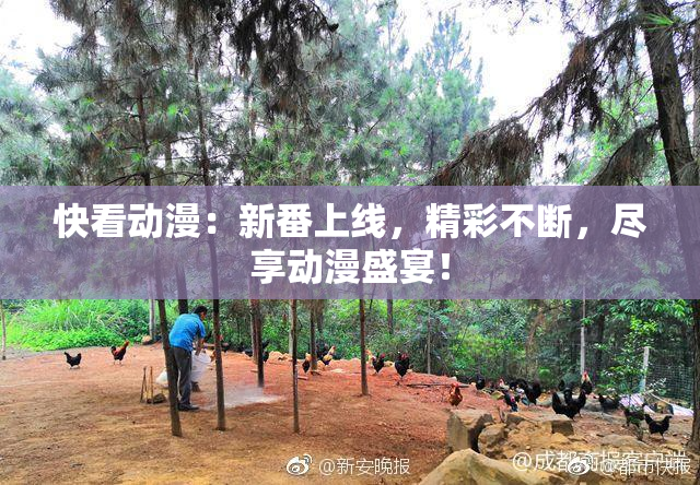 快看动漫：新番上线，精彩不断，尽享动漫盛宴！