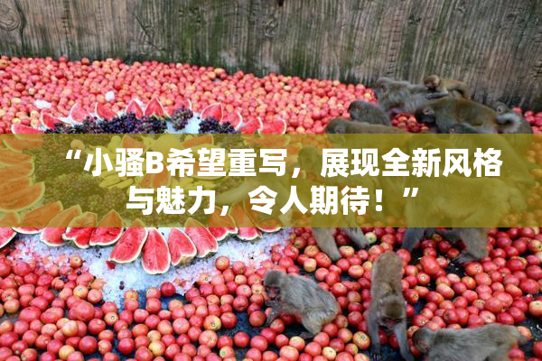 “小骚B希望重写，展现全新风格与魅力，令人期待！”