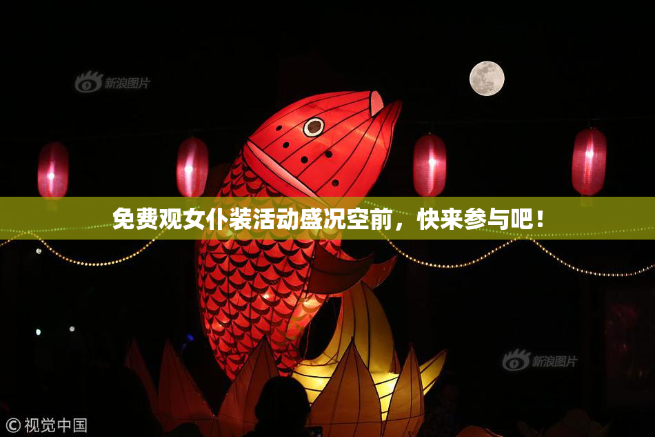 免费观女仆装活动盛况空前，快来参与吧！