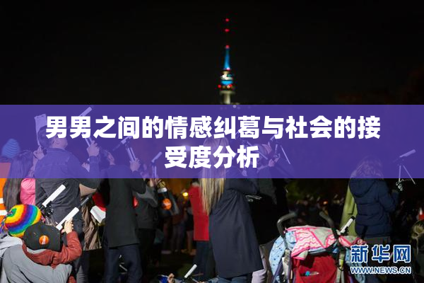 男男之间的情感纠葛与社会的接受度分析