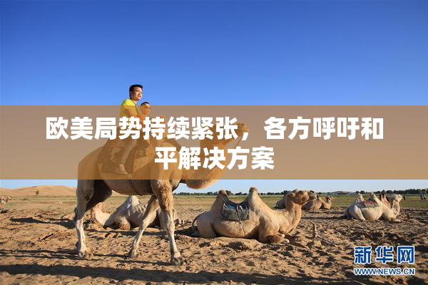 欧美局势持续紧张，各方呼吁和平解决方案