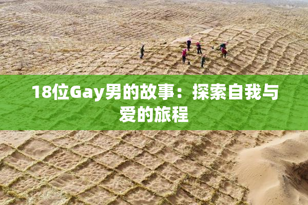 18位Gay男的故事：探索自我与爱的旅程