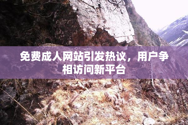 免费成人网站引发热议，用户争相访问新平台