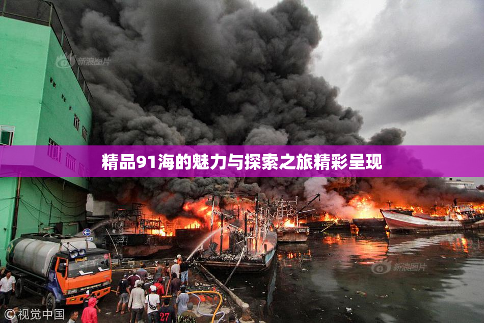 精品91海的魅力与探索之旅精彩呈现