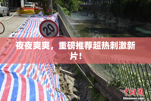 夜夜爽爽，重磅推荐超热刺激新片！