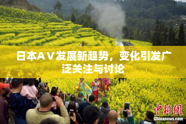 日本AⅤ发展新趋势，变化引发广泛关注与讨论