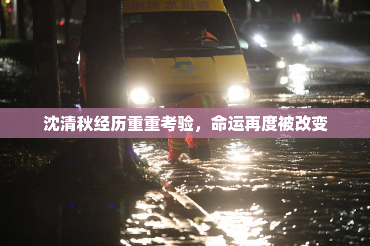沈清秋经历重重考验，命运再度被改变