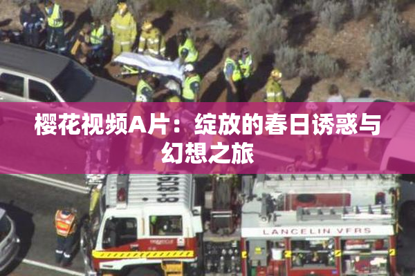 樱花视频A片：绽放的春日诱惑与幻想之旅