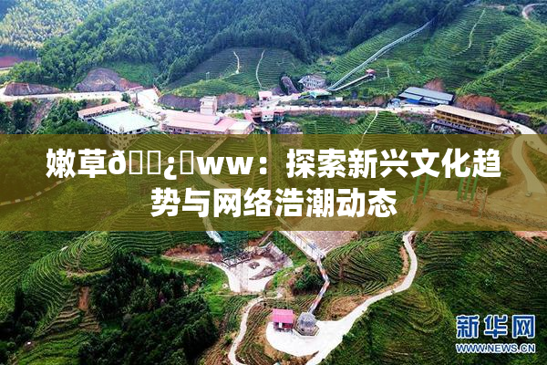 嫩草🌿‌ww：探索新兴文化趋势与网络浩潮动态