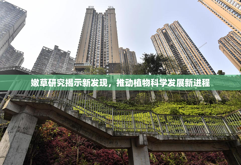 嫩草研究揭示新发现，推动植物科学发展新进程