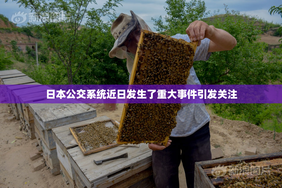 日本公交系统近日发生了重大事件引发关注