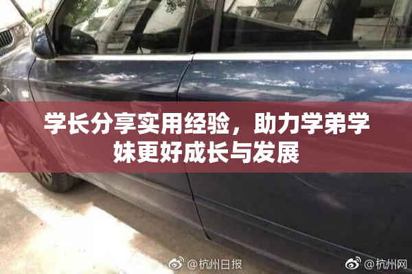 学长分享实用经验，助力学弟学妹更好成长与发展