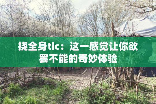 挠全身tic：这一感觉让你欲罢不能的奇妙体验