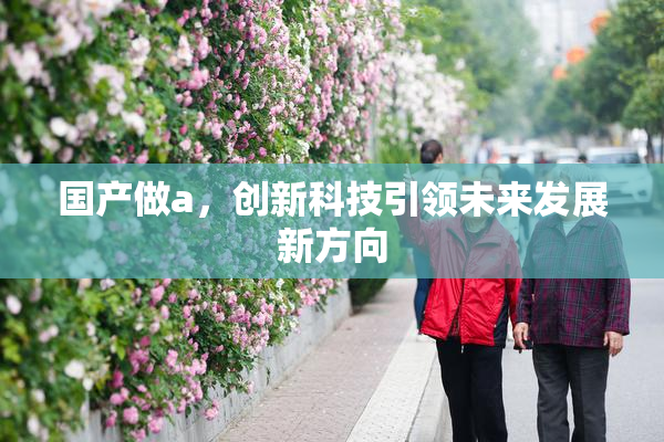 国产做a，创新科技引领未来发展新方向