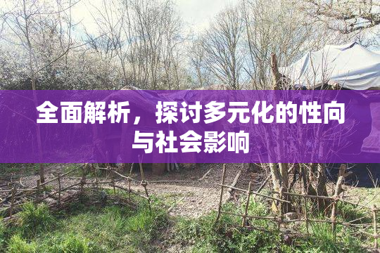 全面解析，探讨多元化的性向与社会影响