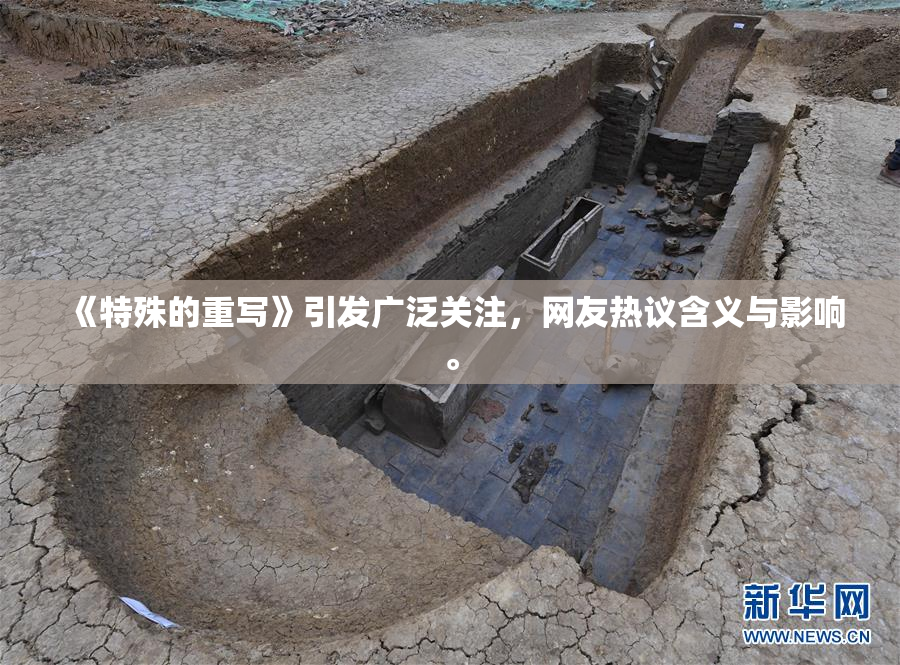《特殊的重写》引发广泛关注，网友热议含义与影响。