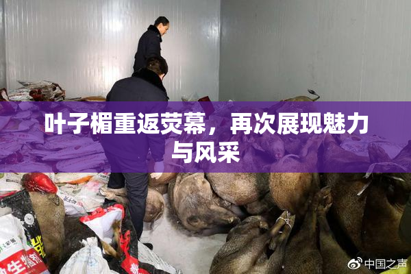 叶子楣重返荧幕，再次展现魅力与风采
