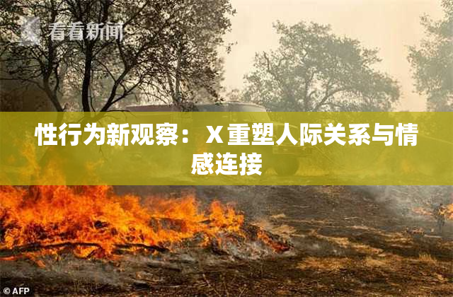 性行为新观察：Ⅹ重塑人际关系与情感连接