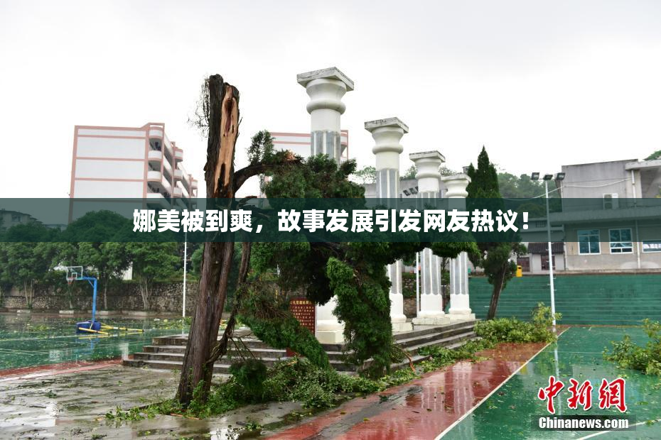 娜美被到爽，故事发展引发网友热议！