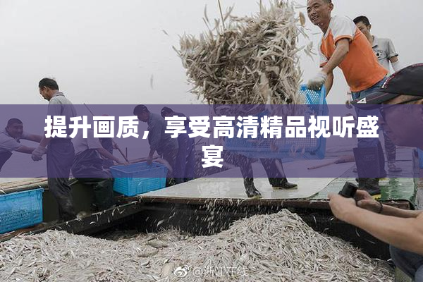 提升画质，享受高清精品视听盛宴