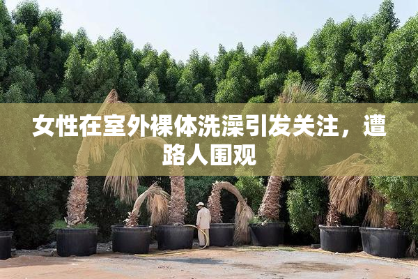 女性在室外裸体洗澡引发关注，遭路人围观