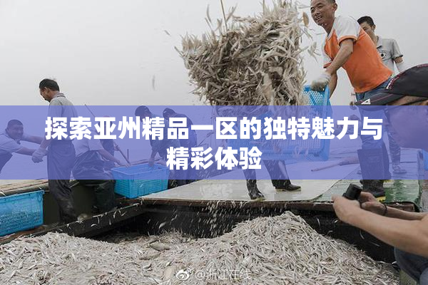探索亚州精品一区的独特魅力与精彩体验