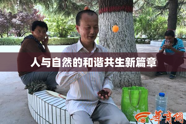 人与自然的和谐共生新篇章